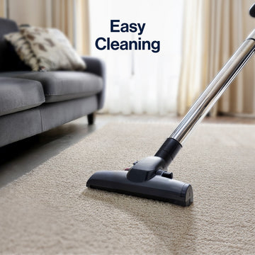 Mercer Shag Plush Tassel Area Rug